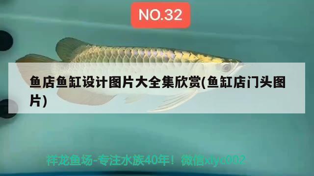 魚店魚缸設計圖片大全集欣賞(魚缸店門頭圖片)