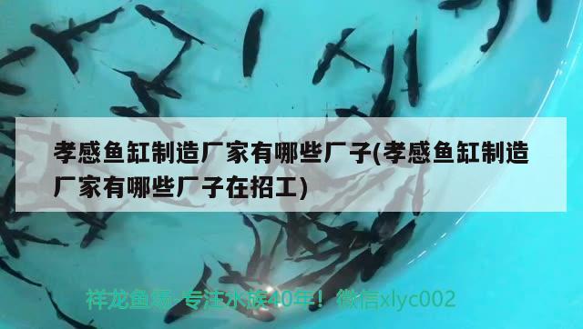 孝感魚缸制造廠家有哪些廠子(孝感魚缸制造廠家有哪些廠子在招工)