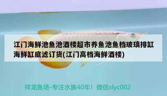 江門海鮮池魚池酒樓超市養(yǎng)魚池魚檔玻璃排缸海鮮缸底濾訂貨(江門高檔海鮮酒樓) 白玉紅龍魚