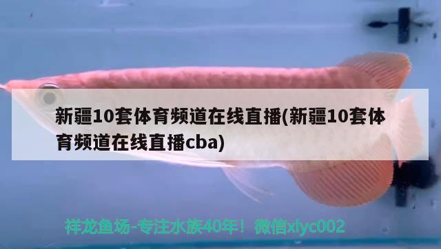 新疆10套體育頻道在線直播(新疆10套體育頻道在線直播cba) 觀賞魚(yú) 第1張