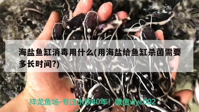 海鹽魚缸消毒用什么(用海鹽給魚缸殺菌需要多長時(shí)間?)