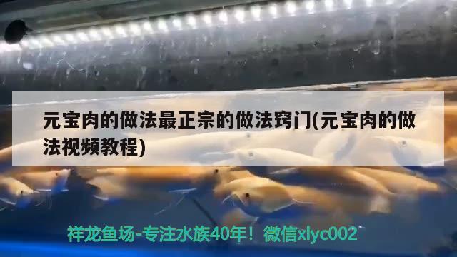 元寶肉的做法最正宗的做法竅門(mén)(元寶肉的做法視頻教程) 觀賞魚(yú)