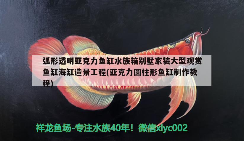 弧形透明亞克力魚缸水族箱別墅家裝大型觀賞魚缸海缸造景工程(亞克力圓柱形魚缸制作教程) 魚缸/水族箱