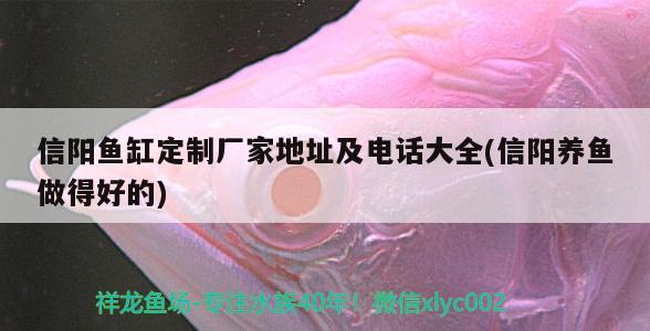 信陽魚缸定制廠家地址及電話大全(信陽養(yǎng)魚做得好的) 黑白雙星