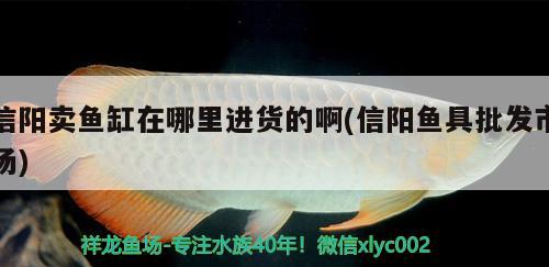 信陽賣魚缸在哪里進(jìn)貨的啊(信陽魚具批發(fā)市場) 廣州祥龍國際水族貿(mào)易