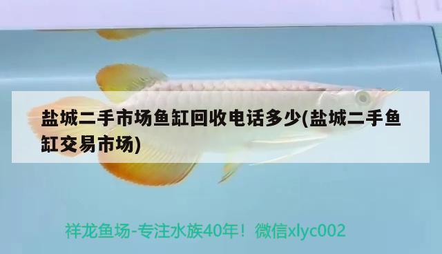 鹽城二手市場(chǎng)魚(yú)缸回收電話多少(鹽城二手魚(yú)缸交易市場(chǎng)) 羅漢魚(yú)批發(fā)