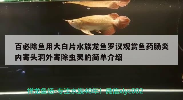 百必除魚用大白片水族龍魚羅漢觀賞魚藥腸炎內(nèi)寄頭洞外寄除蟲靈的簡(jiǎn)單介紹