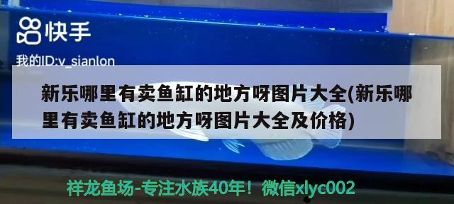 新樂(lè)哪里有賣魚缸的地方呀圖片大全(新樂(lè)哪里有賣魚缸的地方呀圖片大全及價(jià)格)