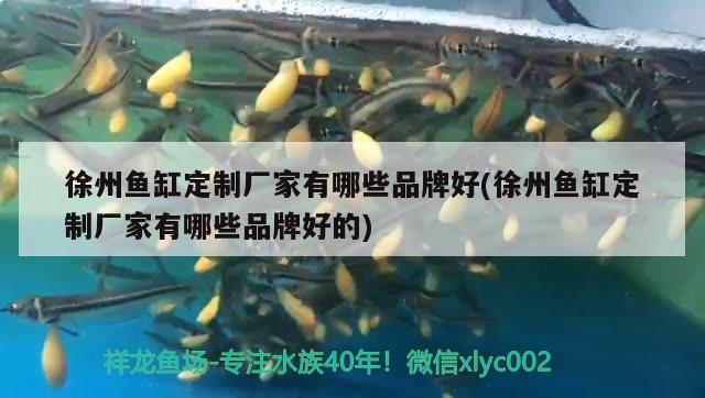 徐州魚(yú)缸定制廠家有哪些品牌好(徐州魚(yú)缸定制廠家有哪些品牌好的)