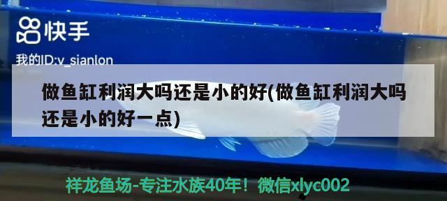 做魚缸利潤大嗎還是小的好(做魚缸利潤大嗎還是小的好一點) 蘇虎苗（蘇門答臘虎魚苗）