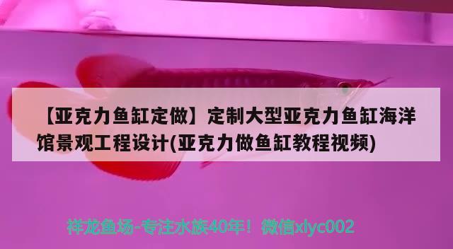 【亞克力魚缸定做】定制大型亞克力魚缸海洋館景觀工程設(shè)計(亞克力做魚缸教程視頻) 溫控設(shè)備