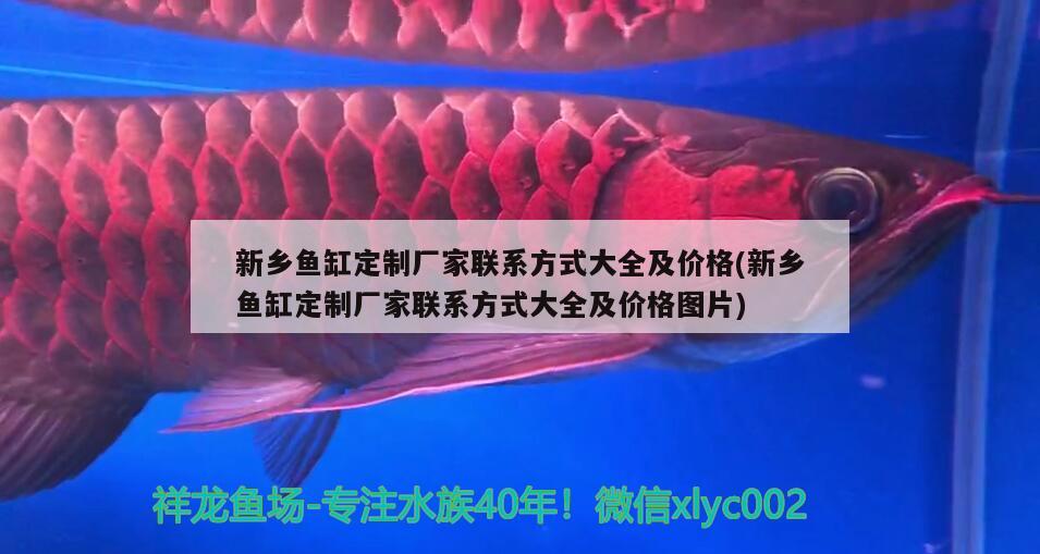 新鄉(xiāng)魚缸定制廠家聯(lián)系方式大全及價格(新鄉(xiāng)魚缸定制廠家聯(lián)系方式大全及價格圖片)