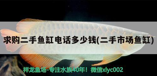 求購二手魚缸電話多少錢(二手市場魚缸)