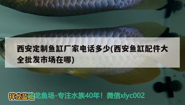 西安定制魚(yú)缸廠家電話多少(西安魚(yú)缸配件大全批發(fā)市場(chǎng)在哪) 祥龍龍魚(yú)專(zhuān)用水族燈