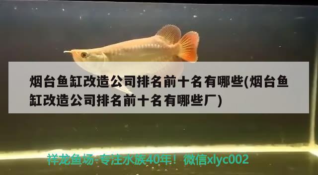 煙臺(tái)魚缸改造公司排名前十名有哪些(煙臺(tái)魚缸改造公司排名前十名有哪些廠)