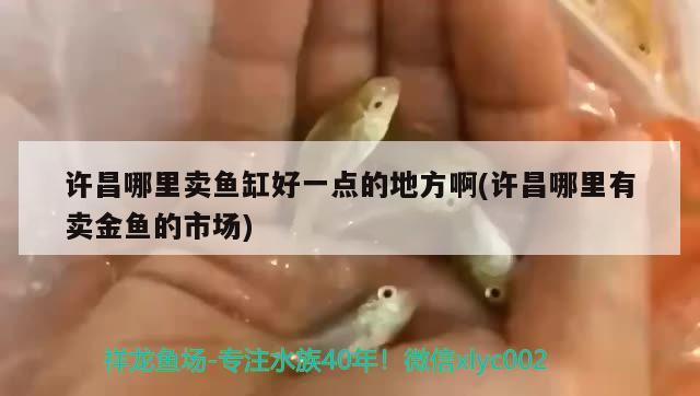 許昌哪里賣魚缸好一點的地方啊(許昌哪里有賣金魚的市場)