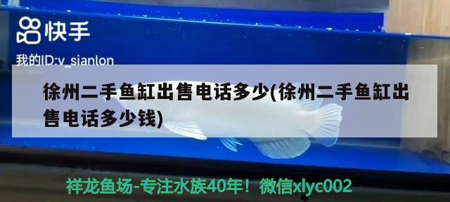 徐州二手魚缸出售電話多少(徐州二手魚缸出售電話多少錢) 帝王三間魚