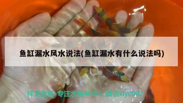 魚缸漏水風(fēng)水說法(魚缸漏水有什么說法嗎) 魚缸風(fēng)水