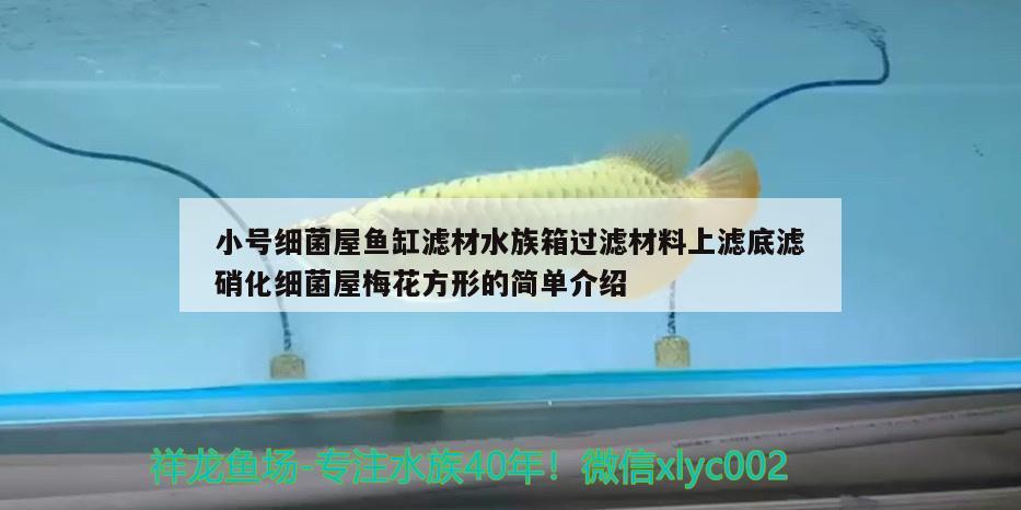 小號(hào)細(xì)菌屋魚缸濾材水族箱過濾材料上濾底濾硝化細(xì)菌屋梅花方形的簡(jiǎn)單介紹 硝化細(xì)菌