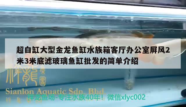 超白缸大型金龍魚缸水族箱客廳辦公室屏風(fēng)2米3米底濾玻璃魚缸批發(fā)的簡單介紹 魚缸/水族箱