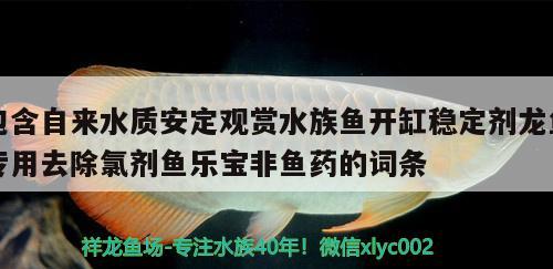 包含自來水質(zhì)安定觀賞水族魚開缸穩(wěn)定劑龍魚專用去除氯劑魚樂寶非魚藥的詞條 金老虎魚