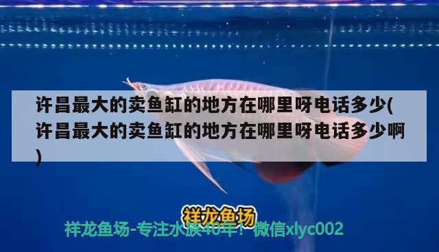 許昌最大的賣魚缸的地方在哪里呀電話多少(許昌最大的賣魚缸的地方在哪里呀電話多少啊)