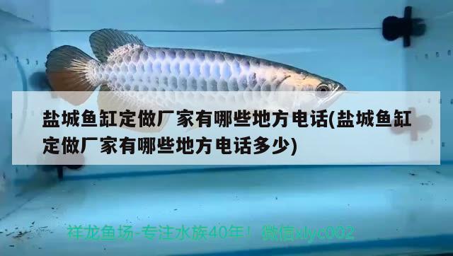 鹽城魚缸定做廠家有哪些地方電話(鹽城魚缸定做廠家有哪些地方電話多少)