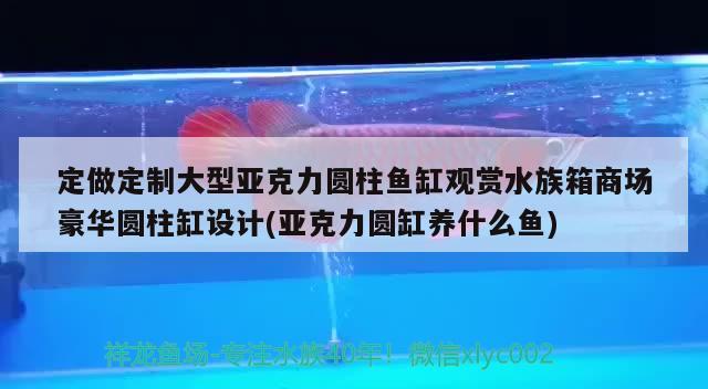 定做定制大型亞克力圓柱魚缸觀賞水族箱商場豪華圓柱缸設(shè)計(jì)(亞克力圓缸養(yǎng)什么魚) 魚缸/水族箱