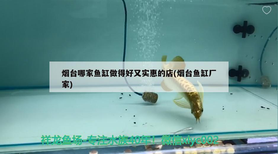 煙臺(tái)哪家魚缸做得好又實(shí)惠的店(煙臺(tái)魚缸廠家) 定時(shí)器/自控系統(tǒng)