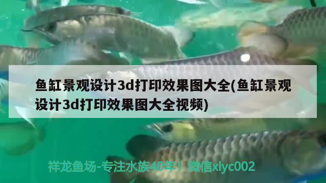 魚缸景觀設(shè)計(jì)3d打印效果圖大全(魚缸景觀設(shè)計(jì)3d打印效果圖大全視頻) 廣州景觀設(shè)計(jì)