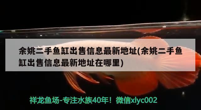 余姚二手魚缸出售信息最新地址(余姚二手魚缸出售信息最新地址在哪里) 大日玉鯖魚