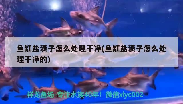 魚缸鹽漬子怎么處理干凈(魚缸鹽漬子怎么處理干凈的)