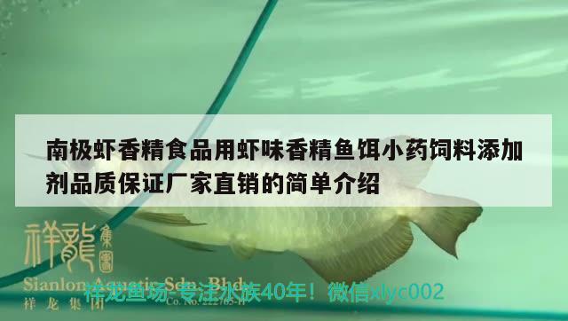 南極蝦香精食品用蝦味香精魚餌小藥飼料添加劑品質(zhì)保證廠家直銷的簡單介紹