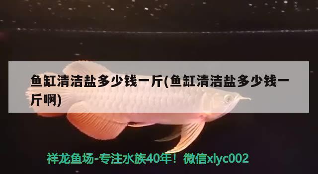 魚缸清潔鹽多少錢一斤(魚缸清潔鹽多少錢一斤啊) 青龍魚