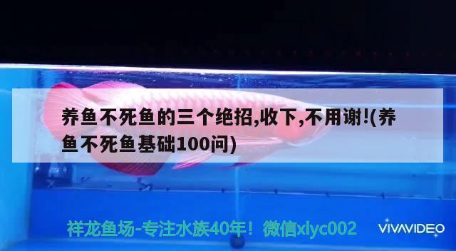 養(yǎng)魚不死魚的三個絕招,收下,不用謝!(養(yǎng)魚不死魚基礎100問) 觀賞魚