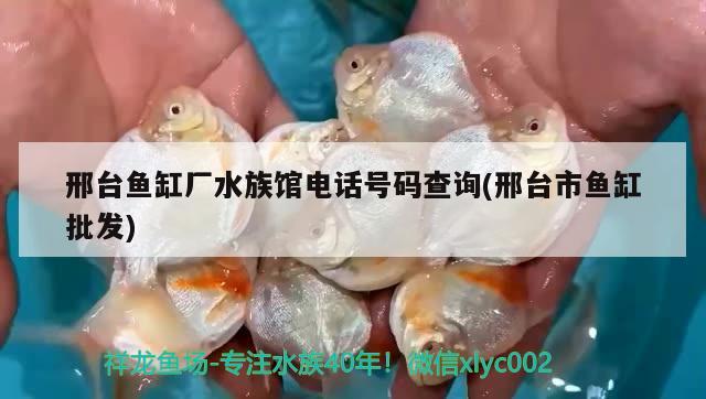 邢臺魚缸廠水族館電話號碼查詢(邢臺市魚缸批發(fā))