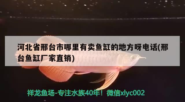 河北省邢臺市哪里有賣魚缸的地方呀電話(邢臺魚缸廠家直銷) 祥龍魚場其他產(chǎn)品 第2張