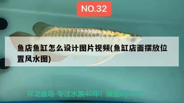 魚店魚缸怎么設(shè)計(jì)圖片視頻(魚缸店面擺放位置風(fēng)水圖)