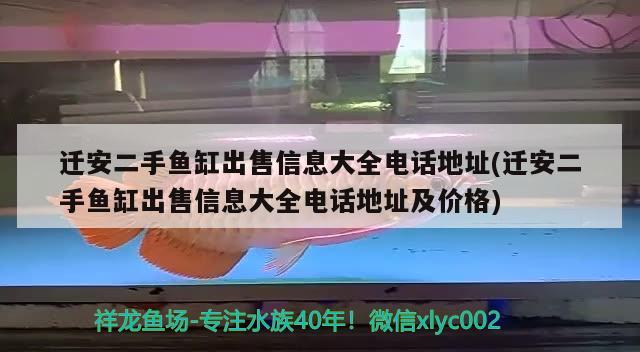 遷安二手魚缸出售信息大全電話地址(遷安二手魚缸出售信息大全電話地址及價格) 黃鰭鯧魚