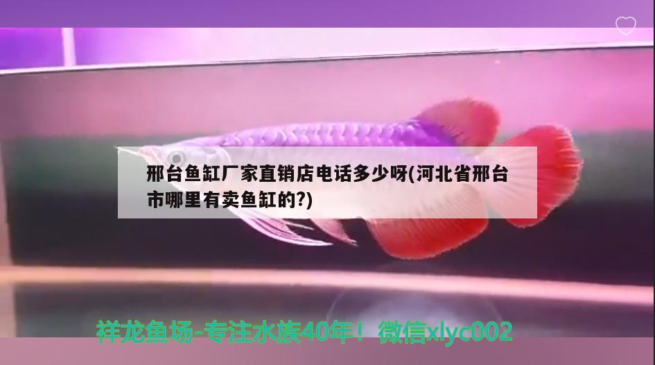 邢臺魚缸廠家直銷店電話多少呀(河北省邢臺市哪里有賣魚缸的?)