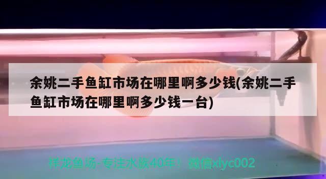 余姚二手魚缸市場在哪里啊多少錢(余姚二手魚缸市場在哪里啊多少錢一臺)