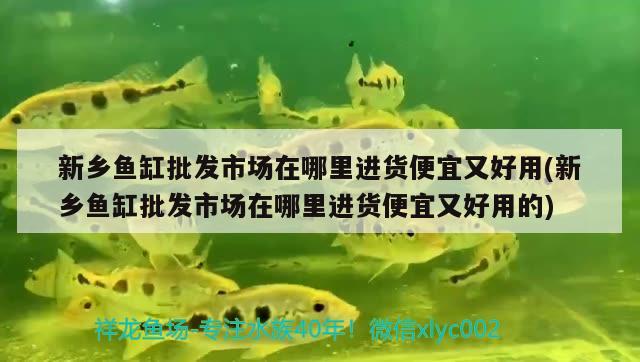 新鄉(xiāng)魚(yú)缸批發(fā)市場(chǎng)在哪里進(jìn)貨便宜又好用(新鄉(xiāng)魚(yú)缸批發(fā)市場(chǎng)在哪里進(jìn)貨便宜又好用的) 泰龐海蓮魚(yú)