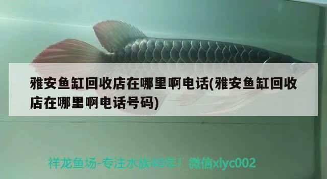 雅安魚缸回收店在哪里啊電話(雅安魚缸回收店在哪里啊電話號(hào)碼)