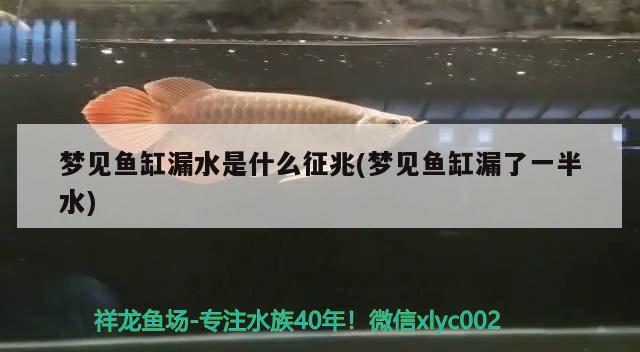 夢(mèng)見(jiàn)魚(yú)缸漏水是什么征兆(夢(mèng)見(jiàn)魚(yú)缸漏了一半水)