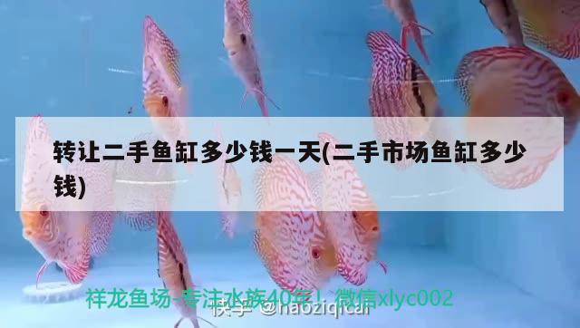 轉(zhuǎn)讓二手魚缸多少錢一天(二手市場魚缸多少錢) 沖氧泵