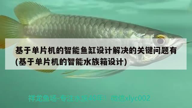 基于單片機(jī)的智能魚缸設(shè)計(jì)解決的關(guān)鍵問(wèn)題有(基于單片機(jī)的智能水族箱設(shè)計(jì))