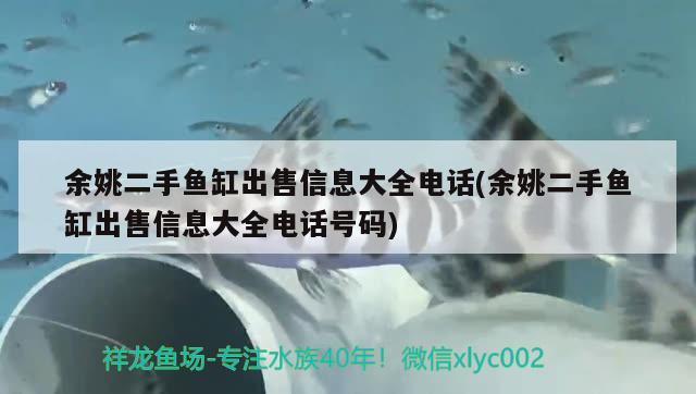 余姚二手魚缸出售信息大全電話(余姚二手魚缸出售信息大全電話號(hào)碼) 泰國(guó)虎魚