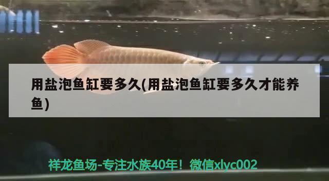 用鹽泡魚缸要多久(用鹽泡魚缸要多久才能養(yǎng)魚) 三間鼠魚苗