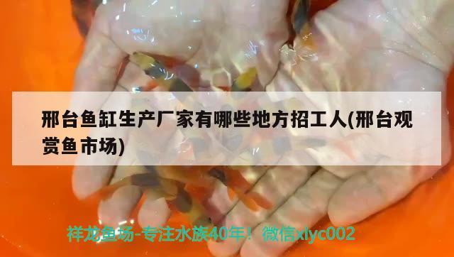 邢臺魚缸生產(chǎn)廠家有哪些地方招工人(邢臺觀賞魚市場)