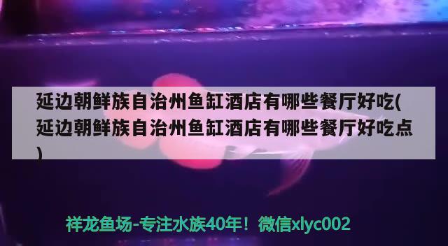 延邊朝鮮族自治州魚缸酒店有哪些餐廳好吃(延邊朝鮮族自治州魚缸酒店有哪些餐廳好吃點(diǎn)) 丹頂錦鯉魚